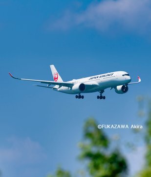 JAPAN AIRLINES【JAL】 #JAL グッズ 快適な旅行をサポートする3⃣アイテム