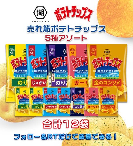 アップUP 湖池屋 売れ筋ポテトチップス 計12袋