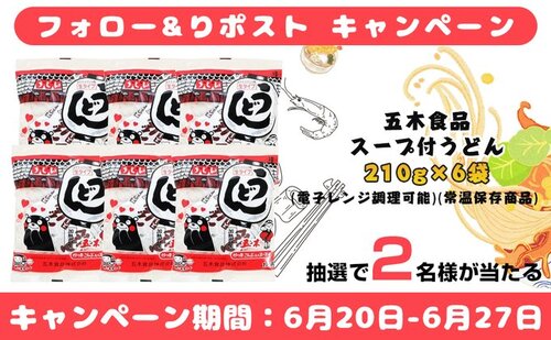 gyokusen～プレゼントキャンペーン開催中～ 五木食品 スープ付うどん 210g×6袋