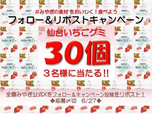 JA全農みやぎ旬太のつぶやき 仙台いちごグミ30個