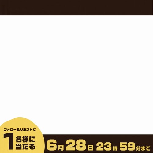 越前かに職人 甲羅組 株式会社 伝食 11月6日 越前がに 解禁 カット生ずわい蟹