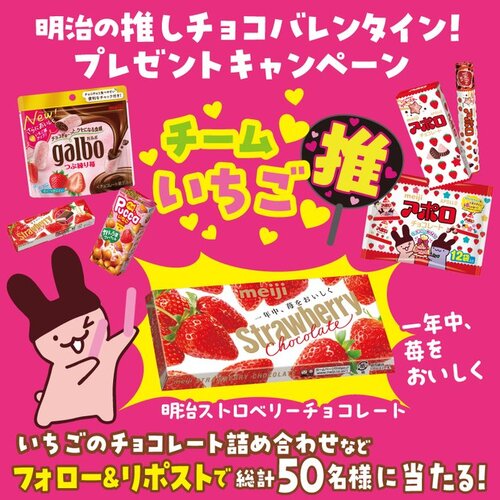 株式会社 明治 / meiji いちごのチョコレート詰め合わせ