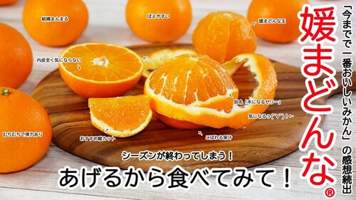 みかんのことなら「のま果樹園」 媛まどんな2kg