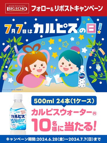 カラオケ ビッグエコー カルピスウォーター 500ml 24本